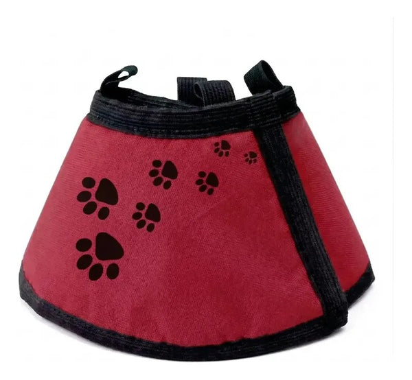 Colar Elizabetano para Cães Nº 8