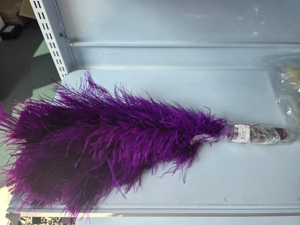 Pluma Roxa para Carnaval