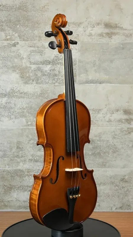 Violino Iniciante Rojo 4/4 Completo