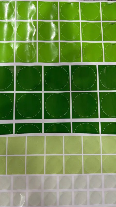 Kit 350 Adesivos de Parede Bolinhas Verdes