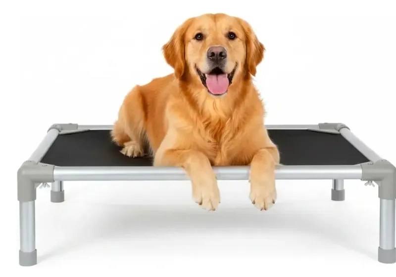 Cama Suspensa Buddy Toys Grande para Cães