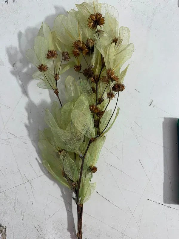 Maço de Flor Libélula Desidratada Verde-Claro