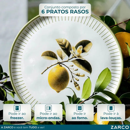 Kit 6 Pratos Rasos Porto Brasil Bio 27,5cm - foto 2